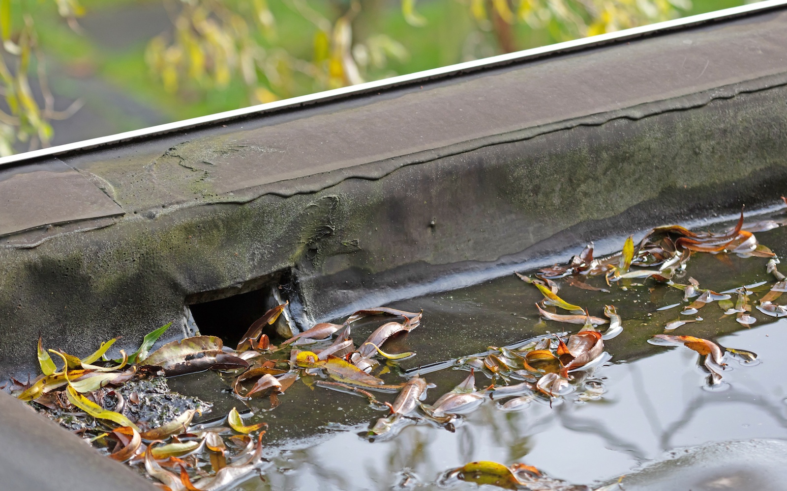Flachdachentwässerung gezielt steuern