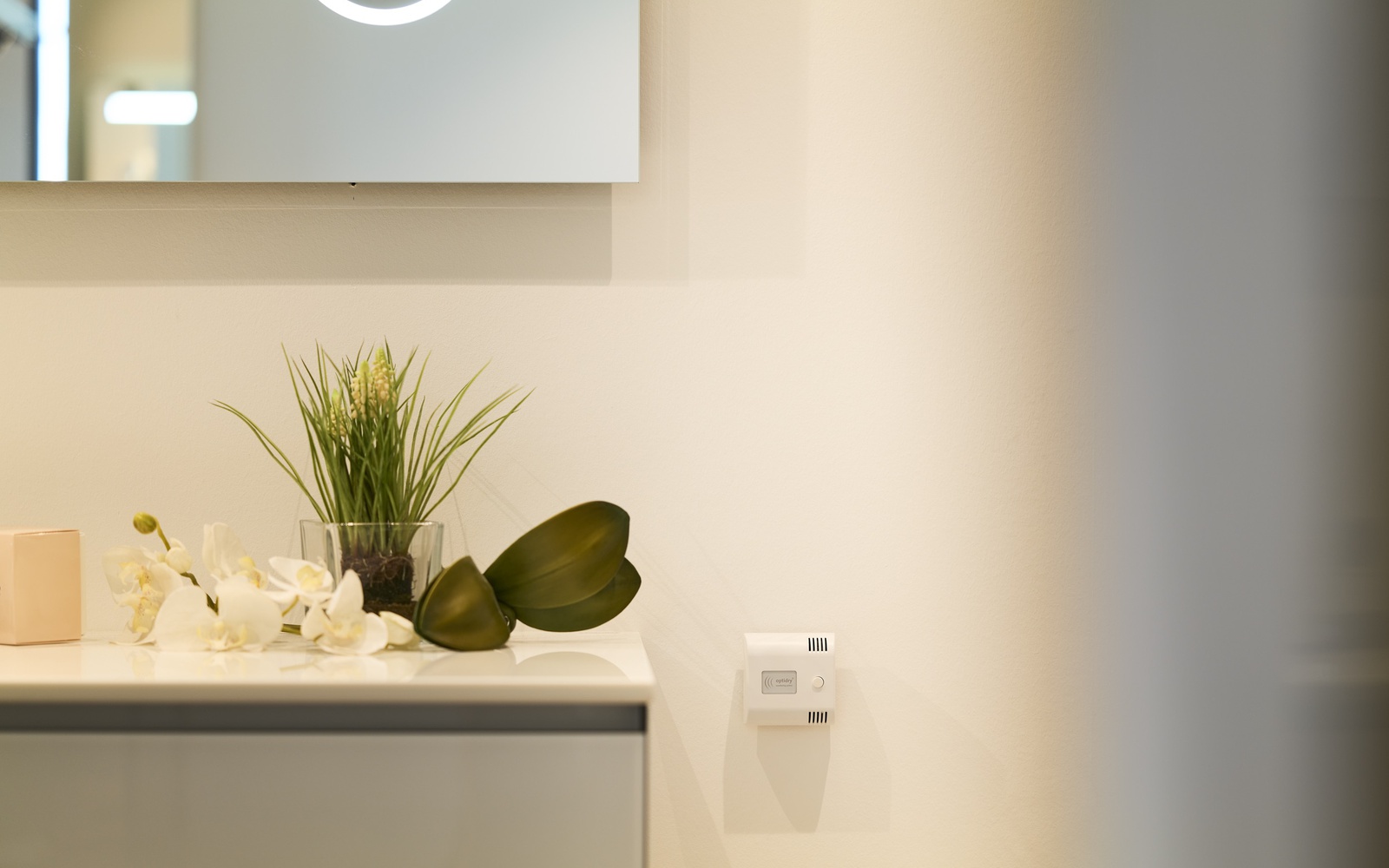 Neues Optidry-Raummodul schützt vor Wasserschäden und Schimmel